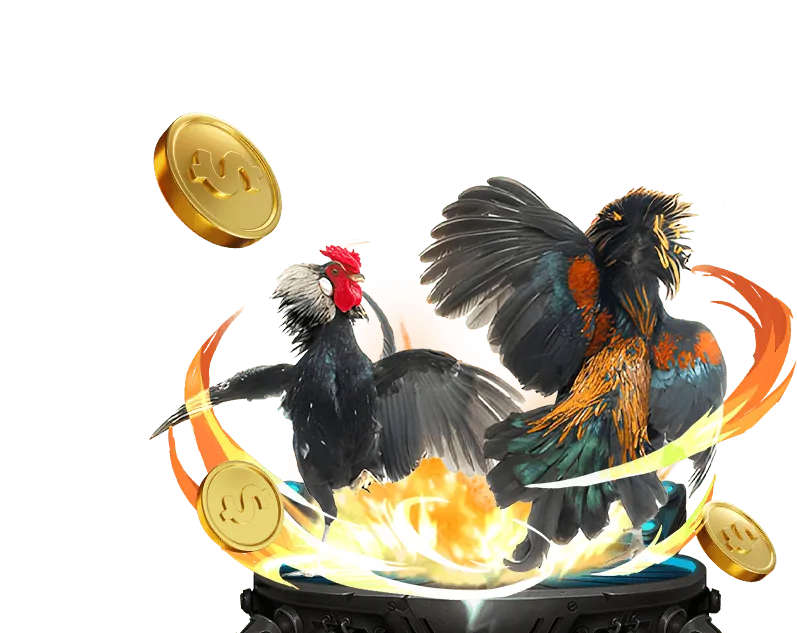 Điều khoản và Điều kiện